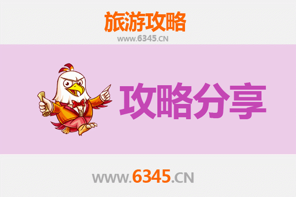 江门蓬江至湄洲岛旅游攻略：跟团还是自由行深度解析